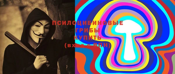 твердый Арсеньев