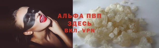 твердый Арсеньев