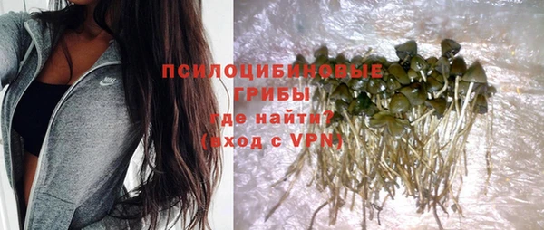 твердый Арсеньев