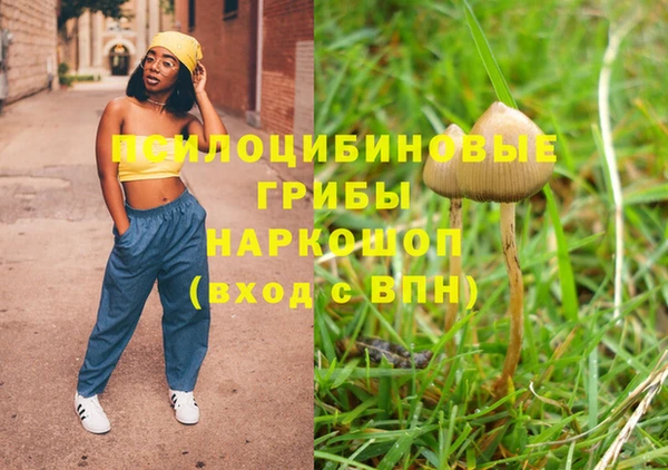 твердый Арсеньев