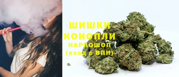 твердый Арсеньев